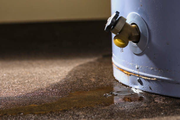 Best Professional water damage repair  in Eastover, NC
