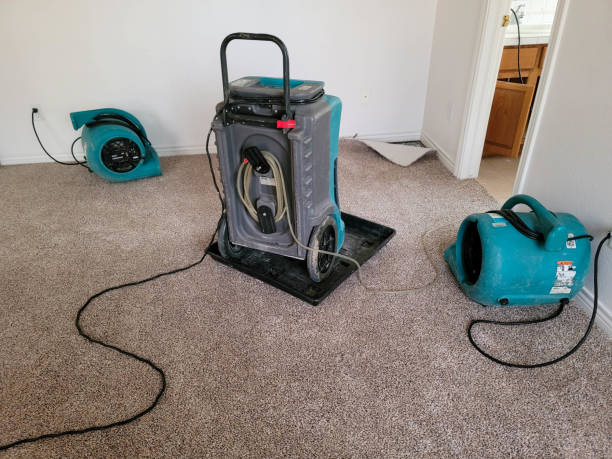 Best Water damage repair service  in Eastover, NC