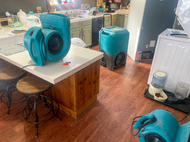 Best Local water damage restoration  in Eastover, NC