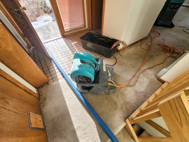 Best Mold removal after water damage  in Eastover, NC