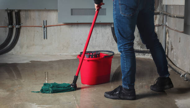 Best Carpet water damage restoration  in Eastover, NC