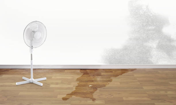 Best Water damage restoration near me  in Eastover, NC