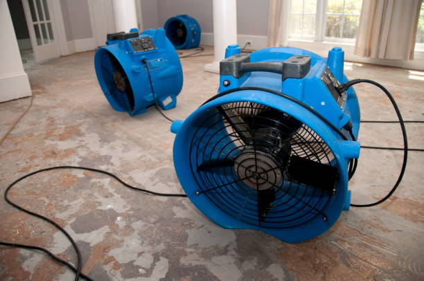 Best Water damage cleanup near me  in Eastover, NC