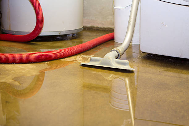 Best Basement water damage restoration  in Eastover, NC