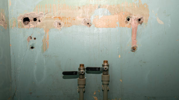 Best 24-hour water damage restoration  in Eastover, NC