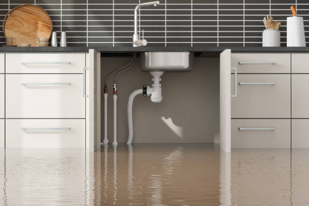 Best Ceiling water damage repair  in Eastover, NC
