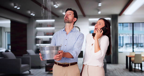 Best Professional water damage repair  in Eastover, NC