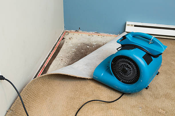 Best Flooded house restoration  in Eastover, NC